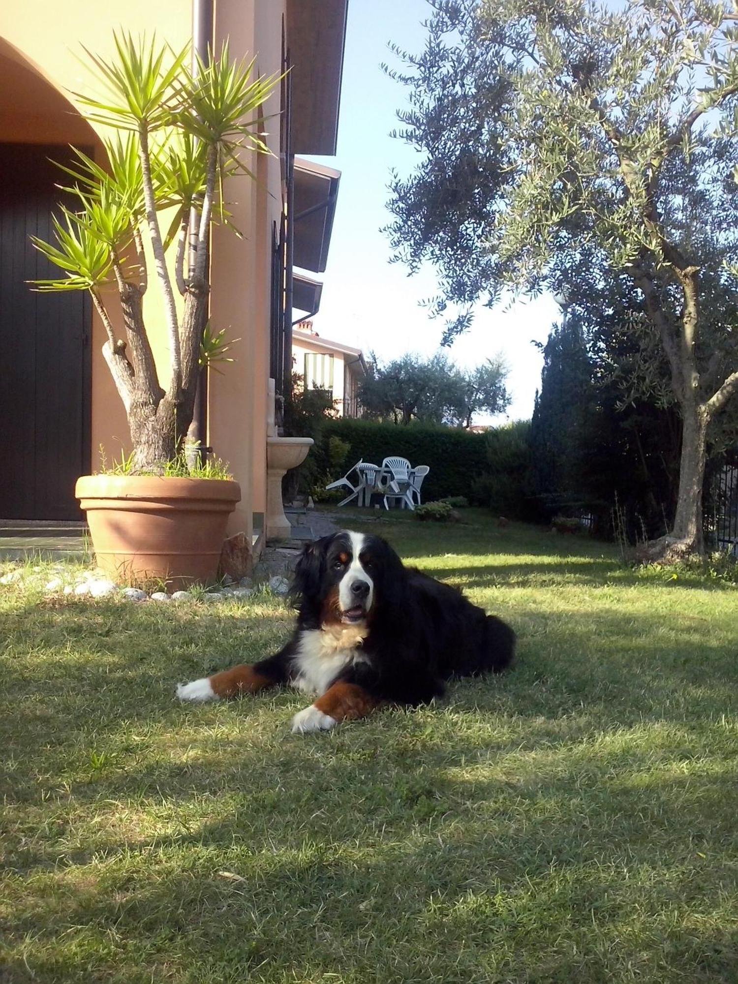 B&B Nonna Cecilia Puegnago del Garda Esterno foto